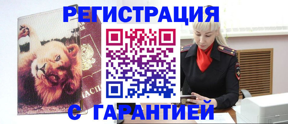 прописка от собственника в Белокурихе